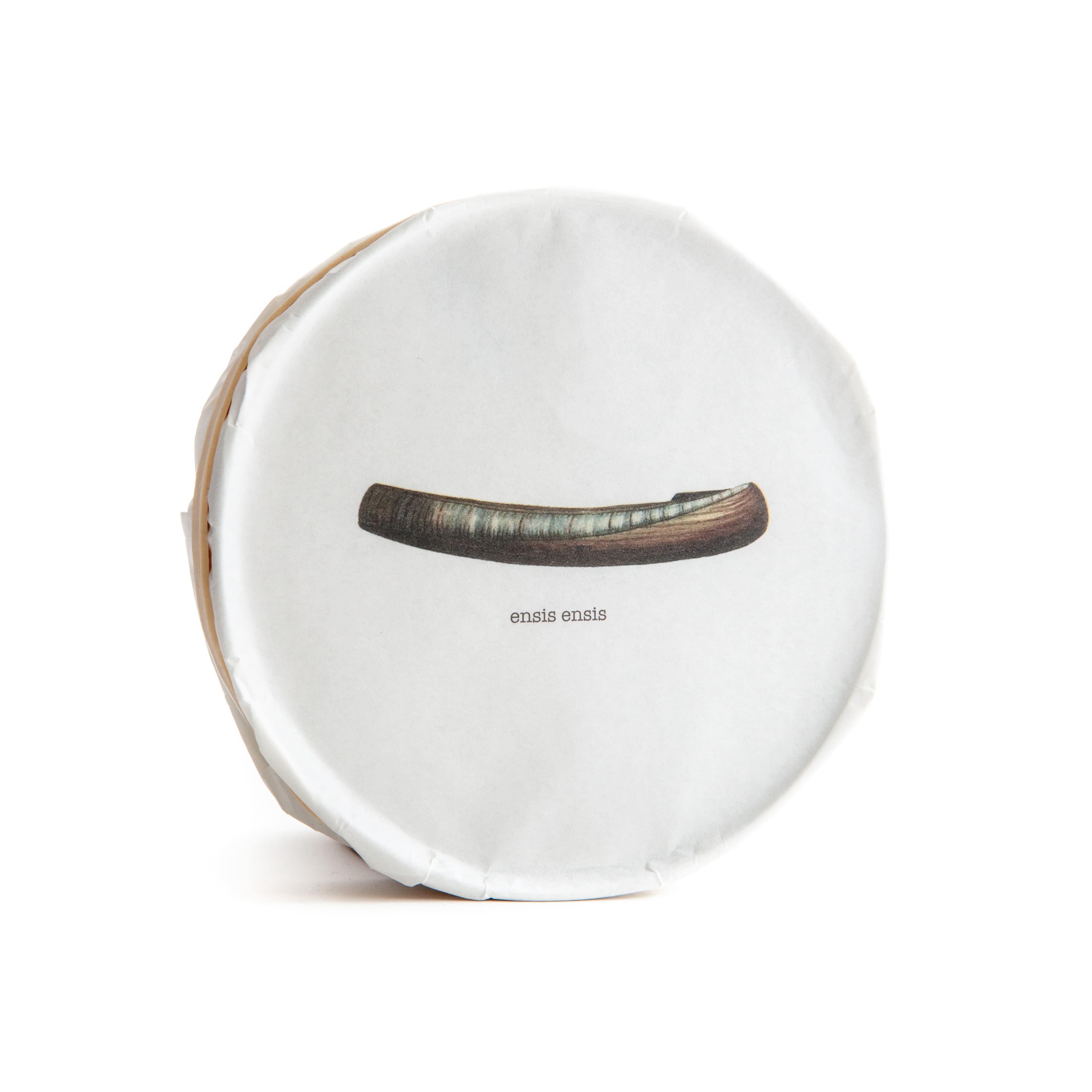 Pyscis Razor Clams – 2022