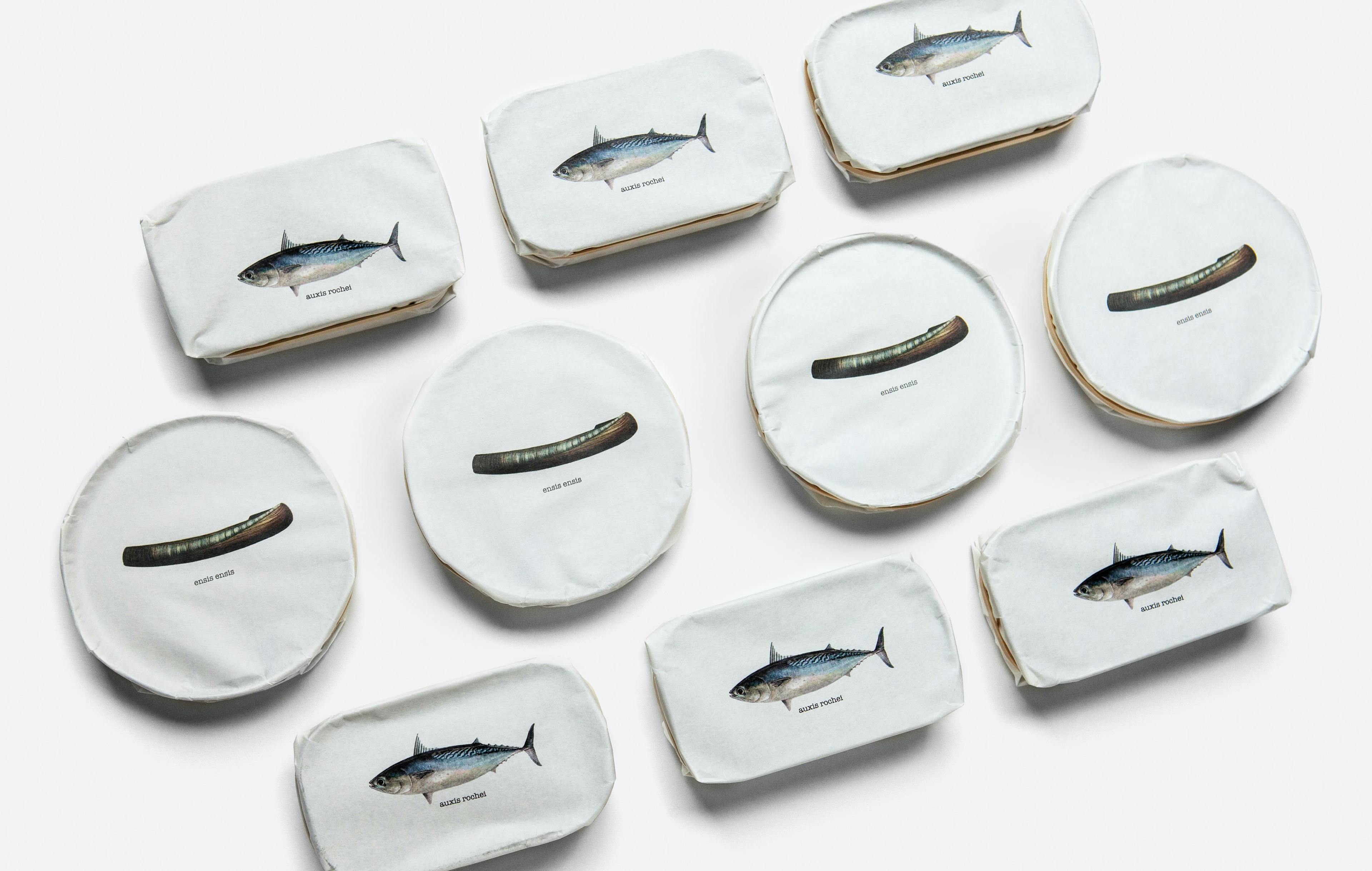 A geometric grouping of tinned fish from Pyscis.